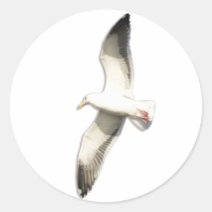Helaine's Soaring Seagull Classic Round Sticker