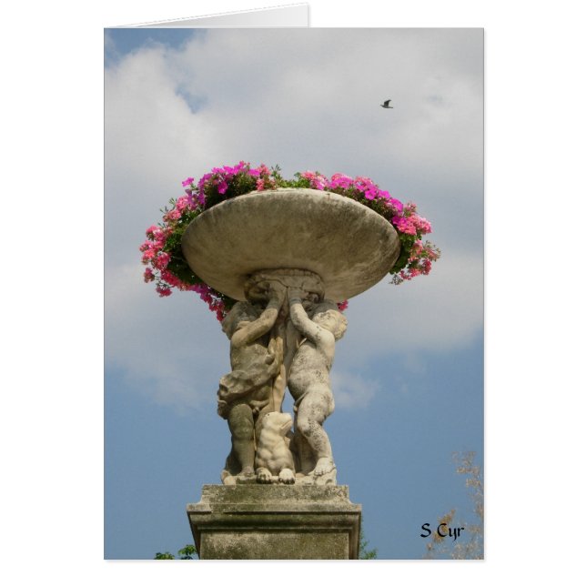 Held Up High, S Cyr (Front)