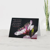 Helen Keller Quote Peach Blossom in the Sunshine