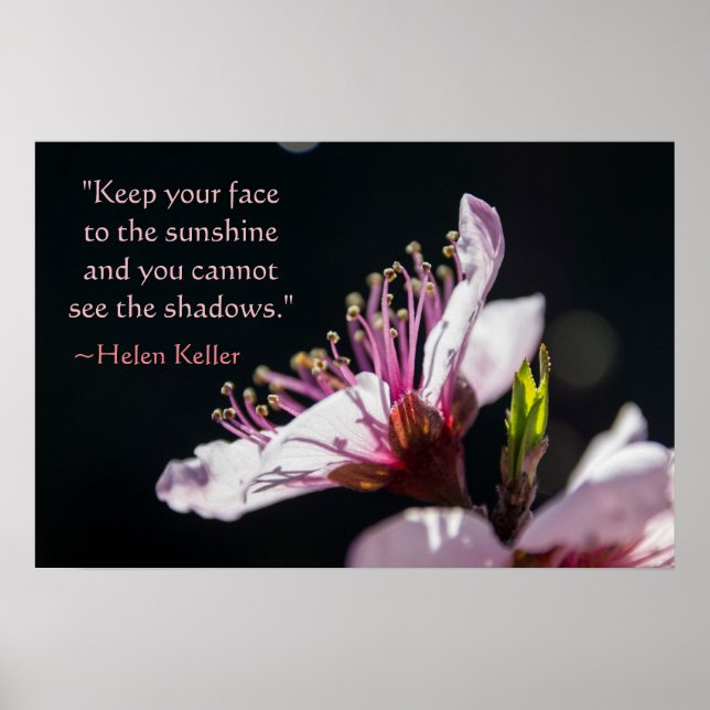 Helen Keller Quote Peach Blossom in the Sunshine Poster (Front)