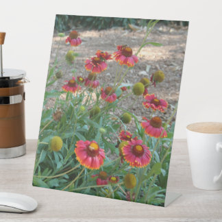 Helenium flowers pedestal sign
