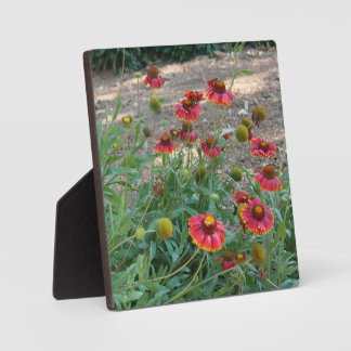 Helenium flowers plaque