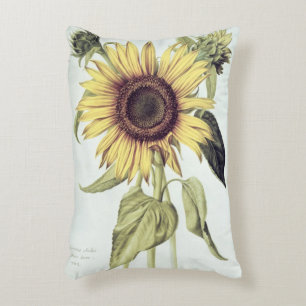 Helianthus Annuus from 'Velins du Roi Vol.36' Decorative Cushion