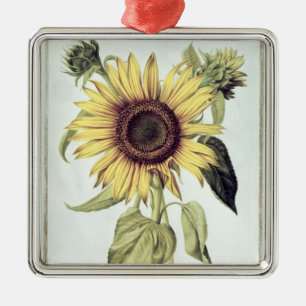 Helianthus Annuus from 'Velins du Roi Vol.36' Metal Ornament