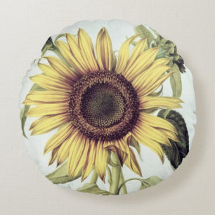 Helianthus Annuus from 'Velins du Roi Vol.36' Round Cushion