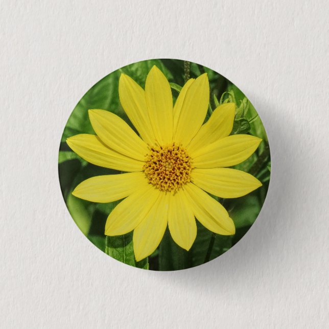 Helianthus 'Lemon Queen' Sunflower 3 Cm Round Badge (Front)