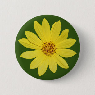 Helianthus 'Lemon Queen' Sunflower (isolated) 6 Cm Round Badge