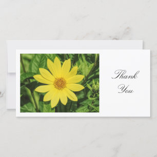 Helianthus 'Lemon Queen' Sunflower - Thank You Card