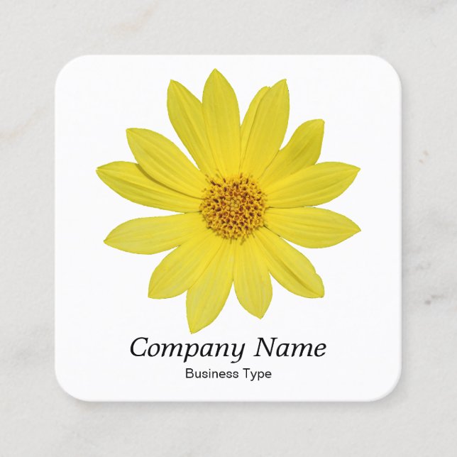 Helianthus 'Lemon Queen' Sunflower - White Square Business Card (Front)