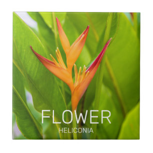 Heliconia Flowers Botanical Plant Garden Design Ceramic Tile