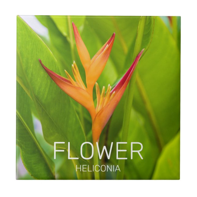 Heliconia Flowers Botanical Plant Garden Design Ceramic Tile (Front)