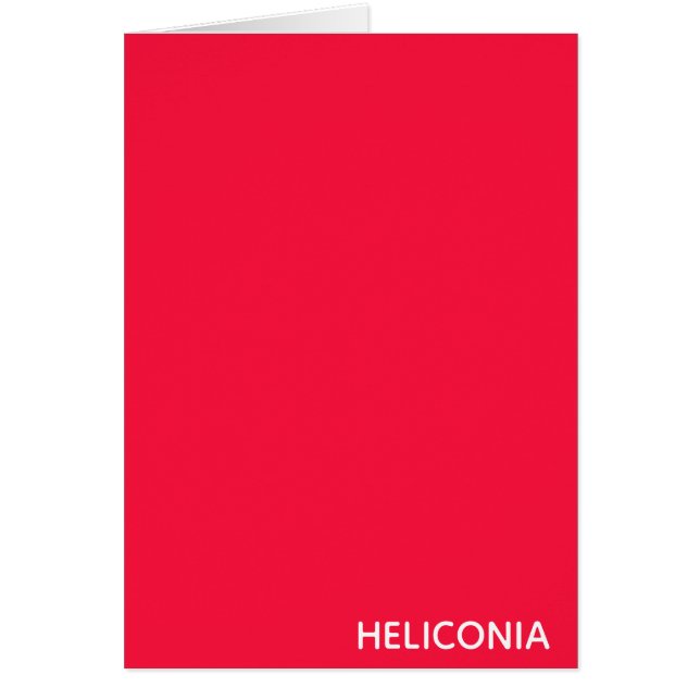 Heliconia red colour name (Front)