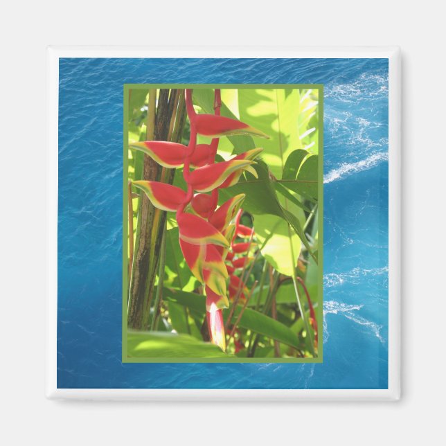 Heliconia rostrata magnet (Front)