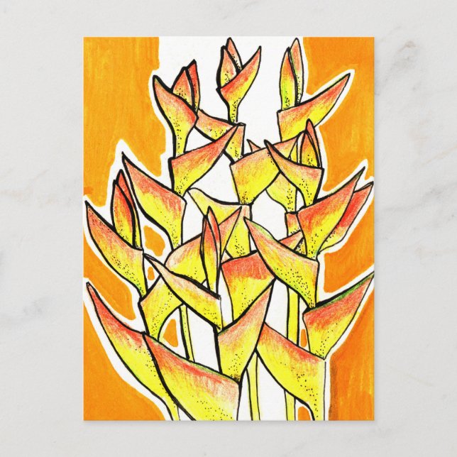 Heliconia Rostrata Tropical Flowers Floral Yellow Postcard (Front)