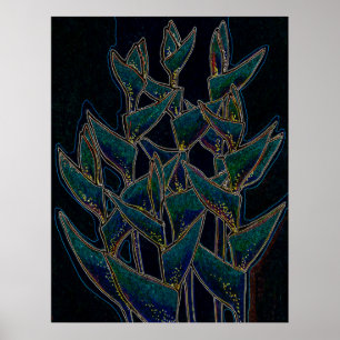 Heliconia Rostrata Tropical Plant Floral Art Black Poster