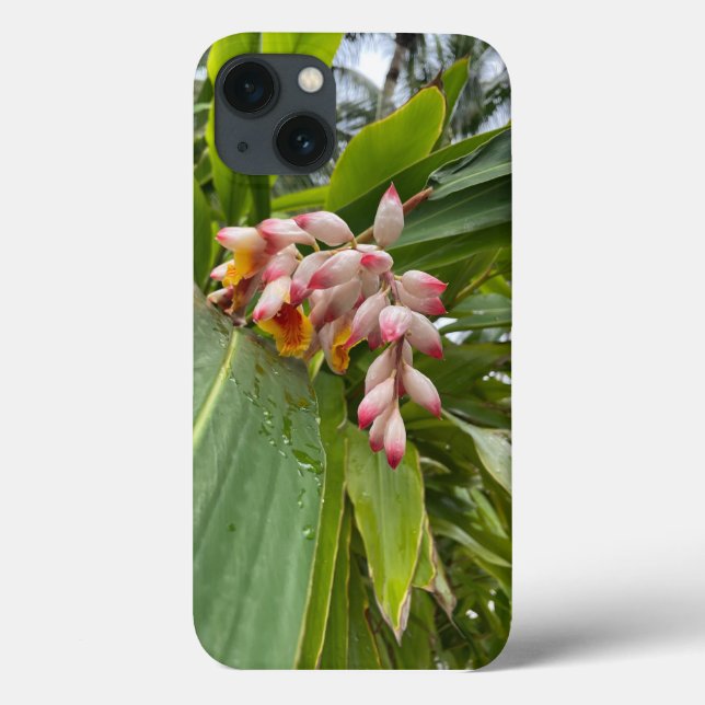 Heliconia Tropical Flower Iphone Case (Back)