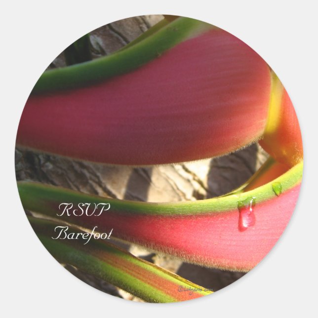 Heliconia Tropical Wedding Envelope Seals (Front)