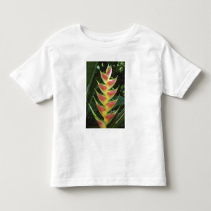 Heliconias, Heliconia walkeriana), La Selva Toddler T-Shirt