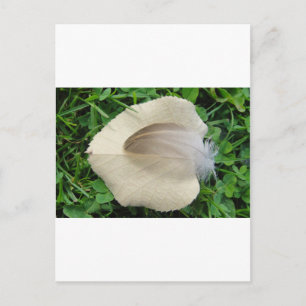 Hellbraune Feder auf hellbeigem Blatt Postcard