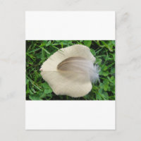 Hellbraune Feder auf hellbeigem Blatt