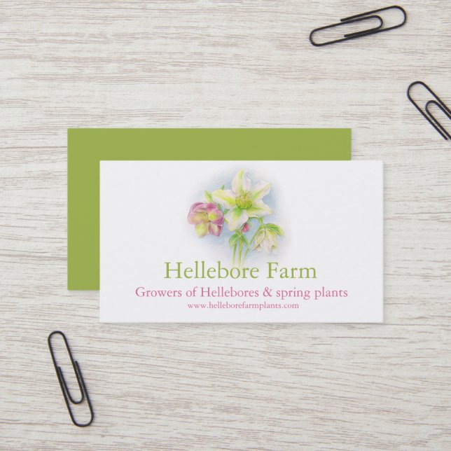 Hellebore farm plant suppliers business card (Front/Back In Situ)