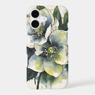 Hellebore - Watercolor flowers