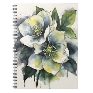 Hellebore - Watercolor flowers Notebook