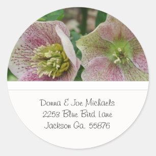 Hellebores Flowers Address Stickers