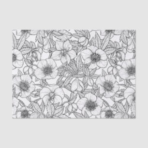 Hellebores in black and white tissue paper