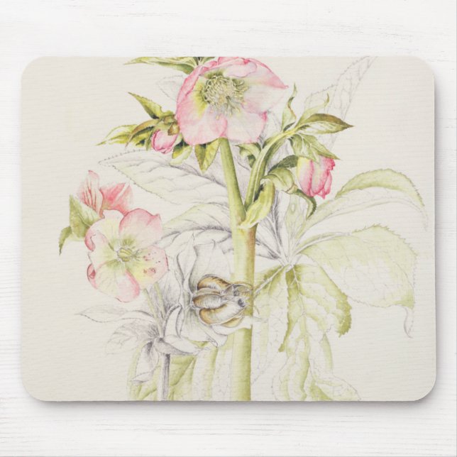Hellebores Mouse Pad (Front)