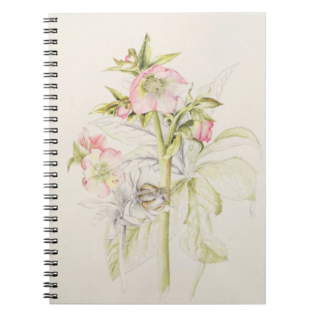 Hellebores Notebook (Front)