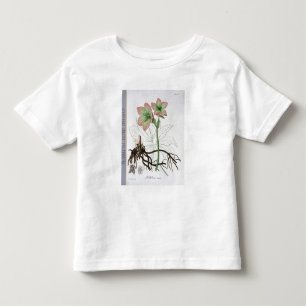 Helleborus Niger from 'Phytographie Medicale' by J Toddler T-Shirt