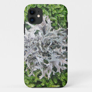 Hellgraue Flechte auf hübschem Moos iPhone 11 Case