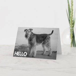 Hello Airedale Puppy Dog Card - Verse