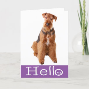 Hello Airedale Puppy Dog Purple Card - Verse