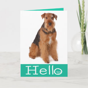 Hello Airedale Terrier Puppy Dog Card - Verse