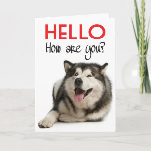 Hello Alaskan Malamute Puppy Dog Greeting Card