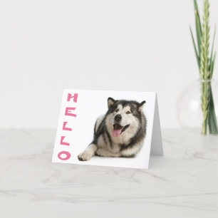 Hello Alaskan Malamute Puppy Dog Note Card