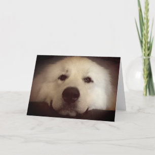 Hello and thinking about you blank inside card