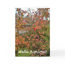 Hello Autumn
