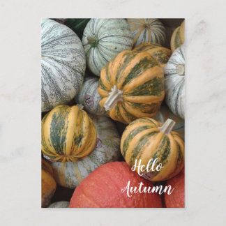 Hello Autumn - Gourds Postcard