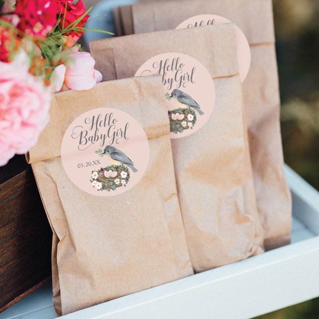 Hello Baby Girl Floral Bird's Nest Baby Shower Classic Round Sticker (Creator Uploaded)