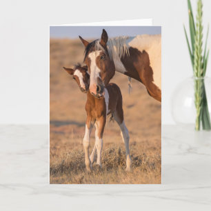 "Hello Baby" Note Card