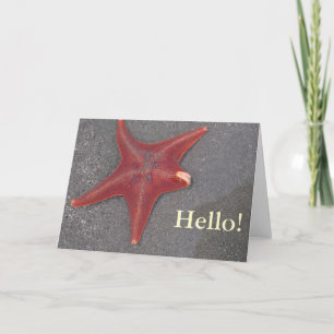 Hello! Beach Stafish Sand Nature GoodBye! Card