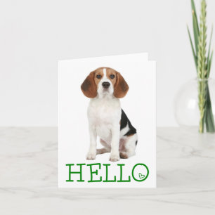 Hello Beagle Puppy Dog Blank Note Card