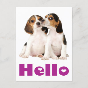 Hello Beagle Puppy Dog Greeting Post Card