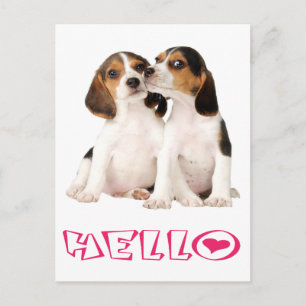 Hello Beagle Puppy Dog Greeting Post Card