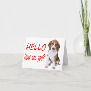 Hello Beagle Puppy Dog Red Blank Note Card