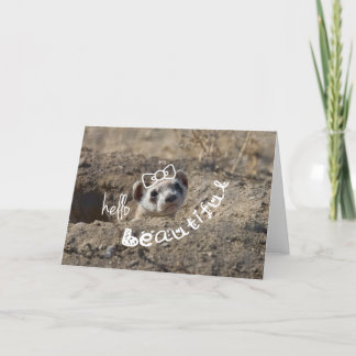 Hello Beautiful Card