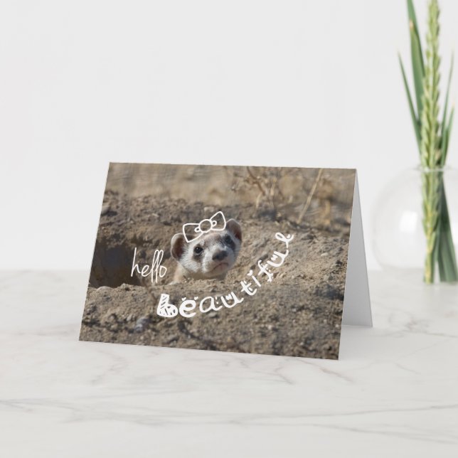 Hello Beautiful Card (Front)